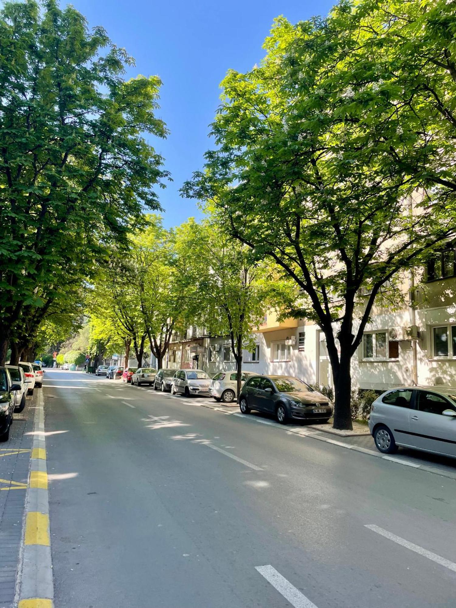 Luxury City Center Apartment Scopia Exterior foto